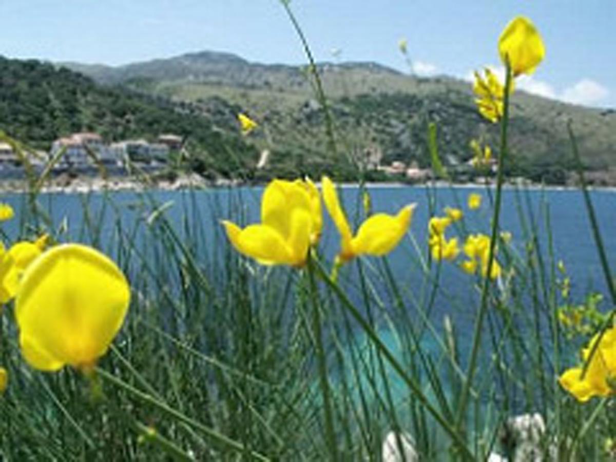 Imerolia Studios Kassiopi Bagian luar foto